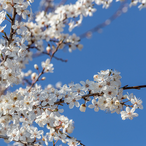 때로 지치고 힘들때