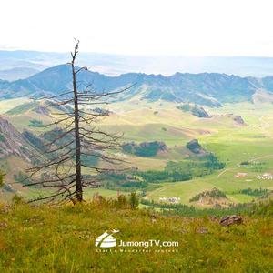 Along the Mongolian plains