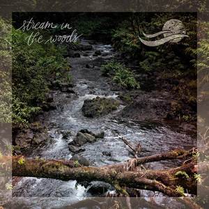 Splashing Creek at Gatineau Park (loopable)