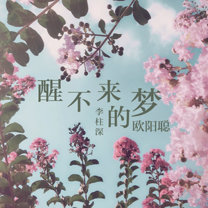 醒不来的梦（翻自 拾贰！）