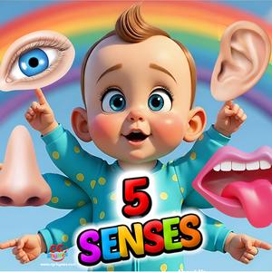5 Senses Song (I Can See, Hear, Taste, Touch & Smell)