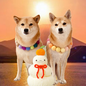 うののん ただものじゃねぇ！ (2026 ver.)