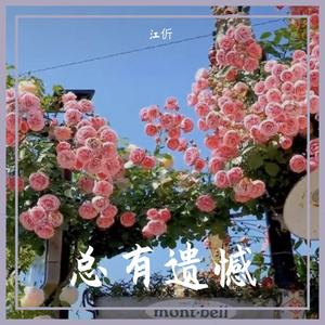 总有遗憾（prod by FRESH_ye&Lion_Z)