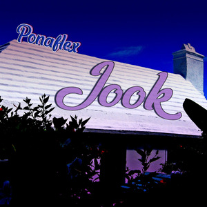 Jook
