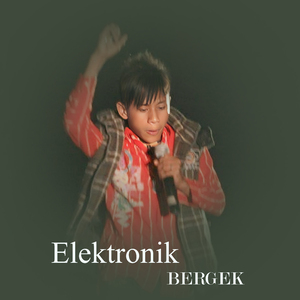 Elektronik