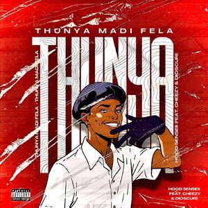 Thunya Madi Fela (feat. Cheezy & Dioscuri)