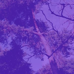 抚慰的工作回忆