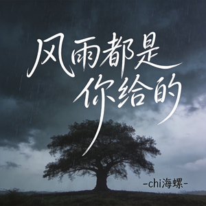 风雨都是你给的（原版）