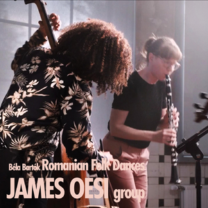 Romanian Folk Dances, Sz. 56, BB 68