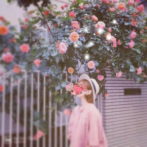 睡不着（翻自 万岁爷）