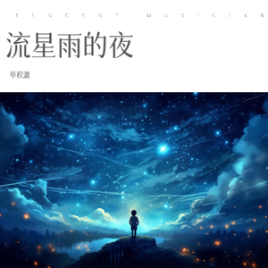 流星雨的夜
