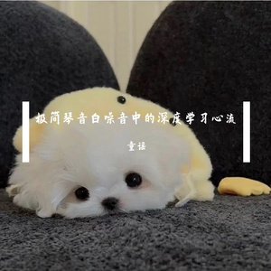 《极简琴音与白噪交织的心流之境