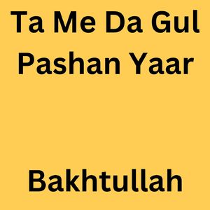 Ta Me Da Gul Pashan Yaar
