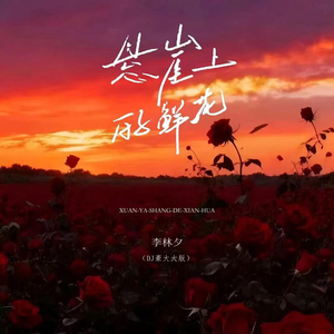 悬崖上的鲜花(DJ版)