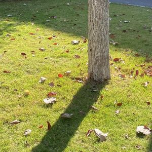 消逝的七月（demo）