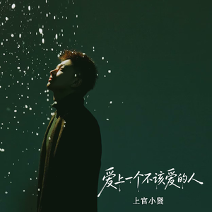 爱上一个不该爱的人