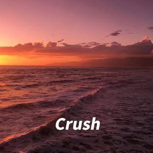 智者不入爱河 冤者重蹈覆辙