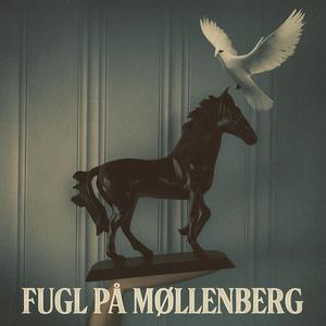 Fugl på Møllenberg