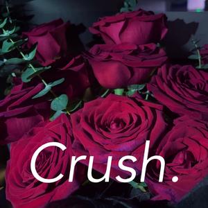Crush.（feat.恐龙先生 prod.Maloney马龙尼）