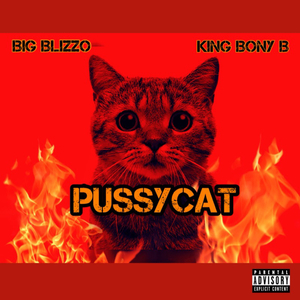 PUSSYCAT