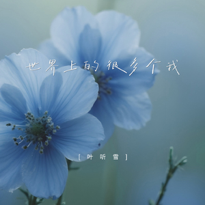 世界上的很多个我