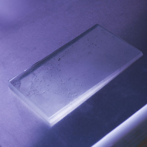 La Morte del Granchio