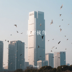 城市候鸟