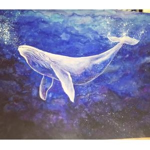 殉情的抹香鲸（温柔男版)