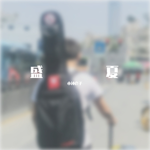 Sadness in Midsummer（仲夏的忧伤）