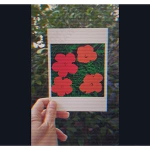 She smiles at the sun