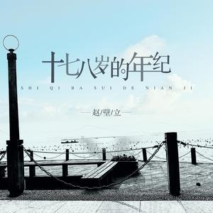 十七八岁的年纪