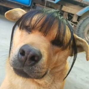 别为不值得的人流泪