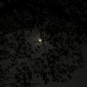 我爱的人（cover林宥嘉）