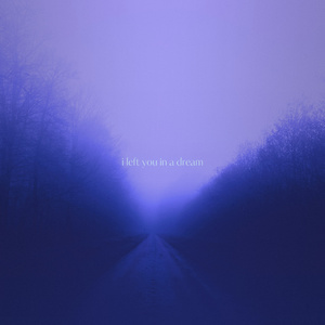 i left you in a dream (slowed + reverb)