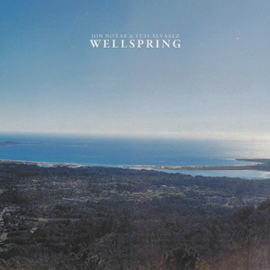Wellspring