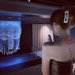 一颗狼星_许篮心-精卫(DJ Pinky Bootleg)