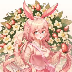 流星の約束 Ryūsei no yakusoku