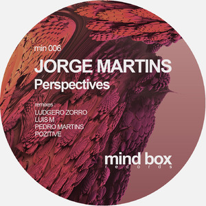 Perspectives (Ludgero Zorro Remix)