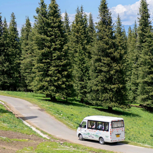 夏天的风-吹给西尔吖