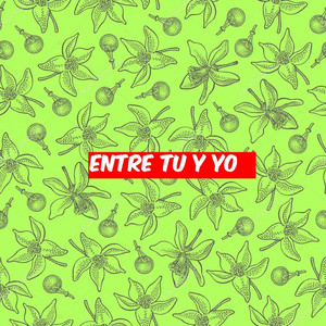Entre Tu Y Yo