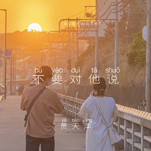 不要对他说