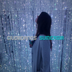 Sumergir