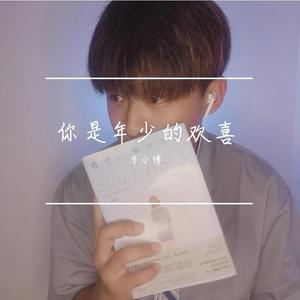 南方小镇-你是年少的欢喜（李小博 remix）