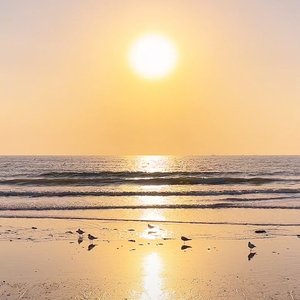 是我的抑郁让温州一直下雨