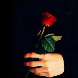 Kalmay Bahar (Gittar)