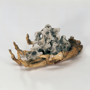 Translatio ex vulgaris lingua