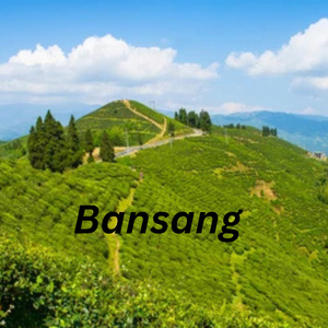 Bansang