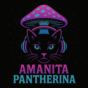 The Panther is coming