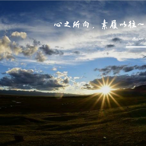 心之所向，素履以往