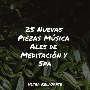 Amanecer en La Arenosa Playa